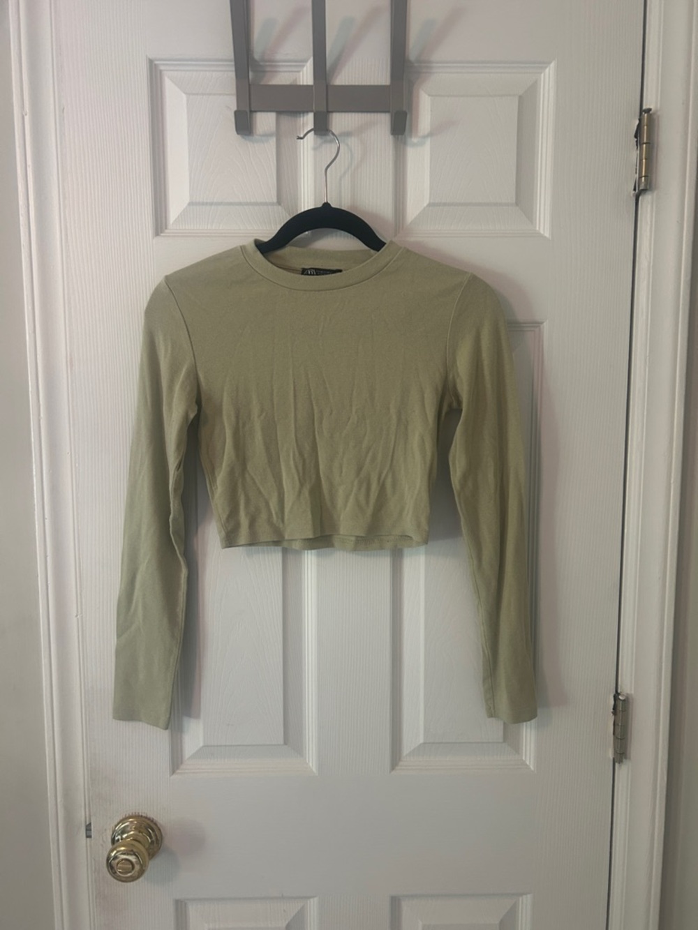 Cropped Long-Sleeve Crewneck Top - Olive Green